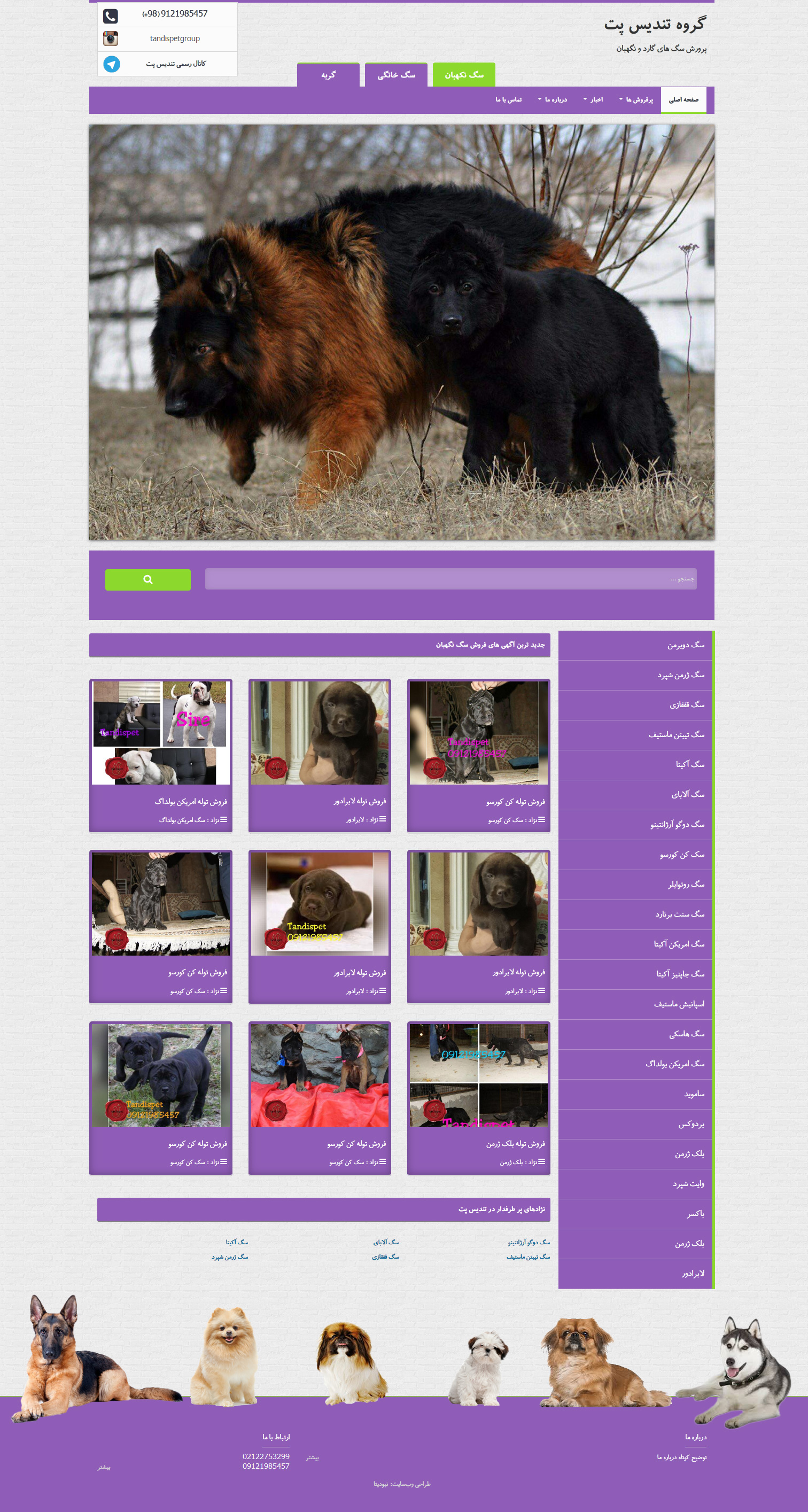 طراحی سایت تندیس پت-گروه پرورش سگ گارد و نگهبان